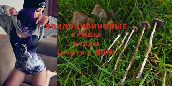 ГАЛЛЮЦИНОГЕННЫЕ ГРИБЫ Саяногорск