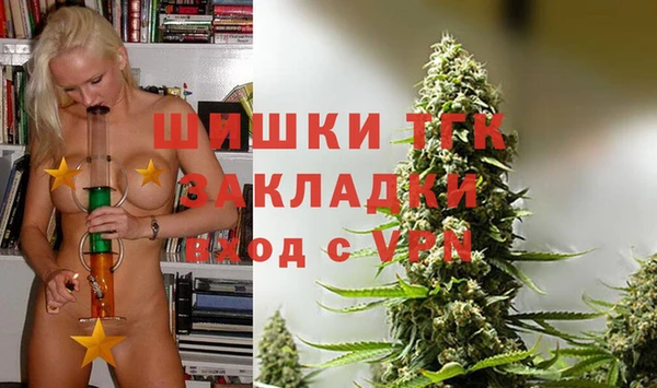 скорость Гусев