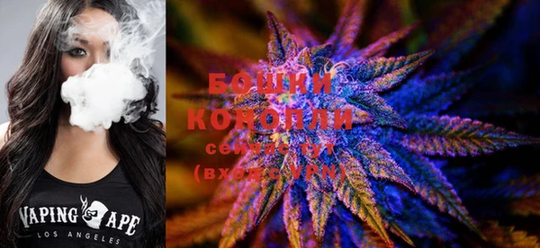 гидропоника Дмитров