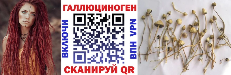 Галлюциногенные грибы прущие грибы  Купить  Зуевка 