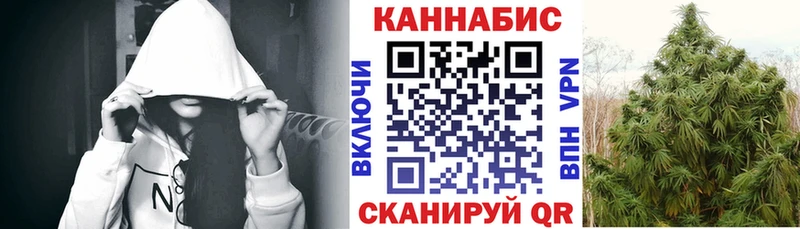 Купить где  Зуевка  Конопля планчик 